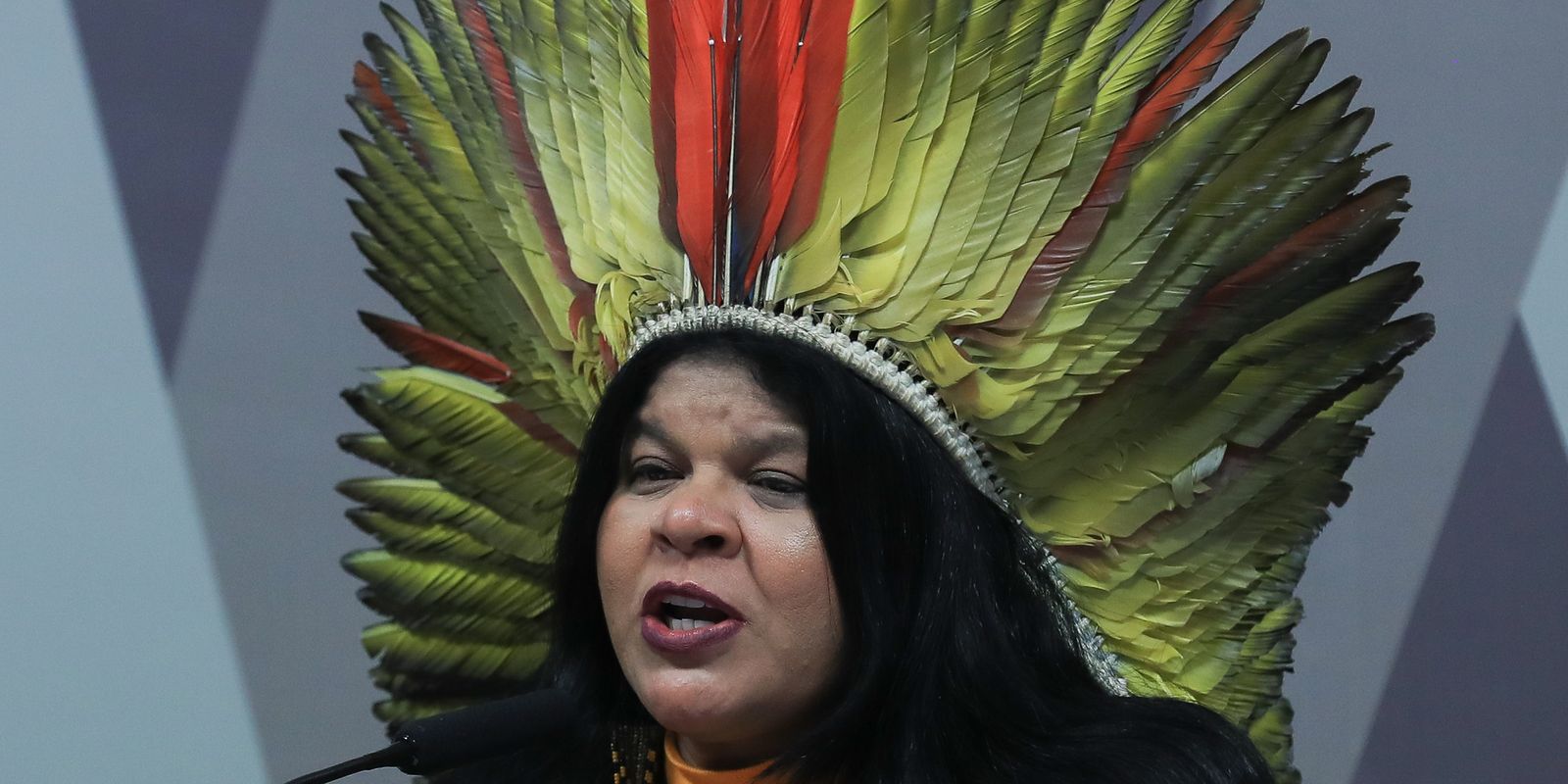 Sônia Guajajara apresenta melhoras, mas continua internada em SP Imagem referente a Sônia Guajajara apresenta melhoras, mas continua internada em SP