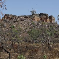 Imagem referente a Pesquisa com IA identifica terras agrícolas abandonadas no Cerrado