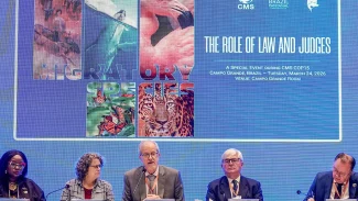 Bonito vai sediar a primeira vara ambiental com foco no Pantanal