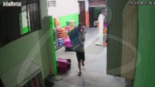 Câmera flagra funcionário furtando pet shop onde trabalhava Imagem referente a Câmera flagra funcionário furtando pet shop onde trabalhava