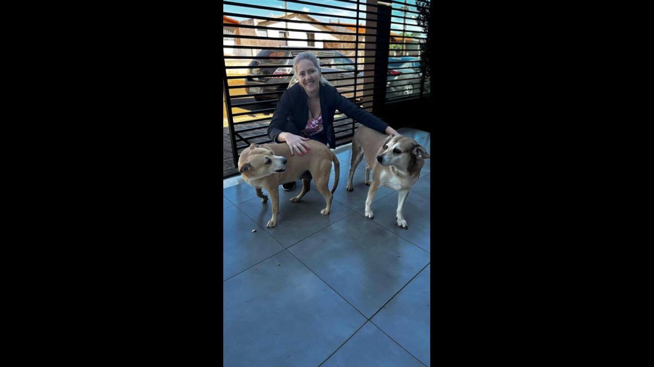 Cachorras Mel e Carmela desapareceram no bairro Periolo