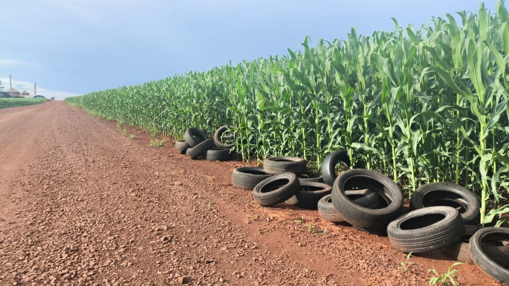 Denúncia aponta descarte irregular de pneus na Estrada Chaparral, em Cascavel