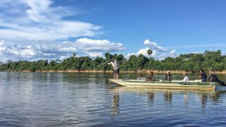 Peixes migratórios de água doce estão entre os mais ameaçados no mundo