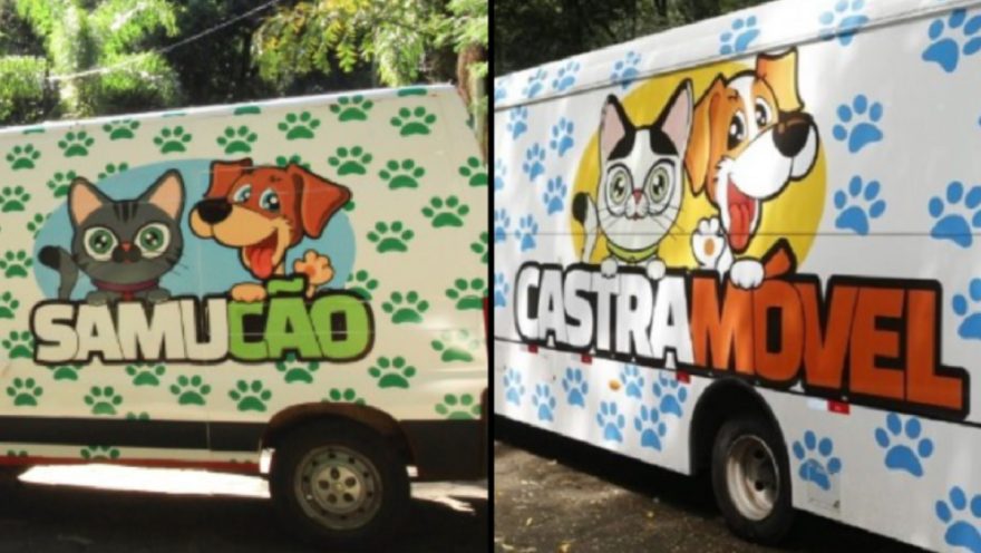 De graça, mas não para todos: Entenda os limites de acesso ao Castramóvel e ao Samucão em Cascavel
