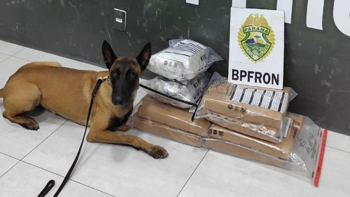 BPFRON apreende drogas em ônibus e prende duas pessoas em Umuarama