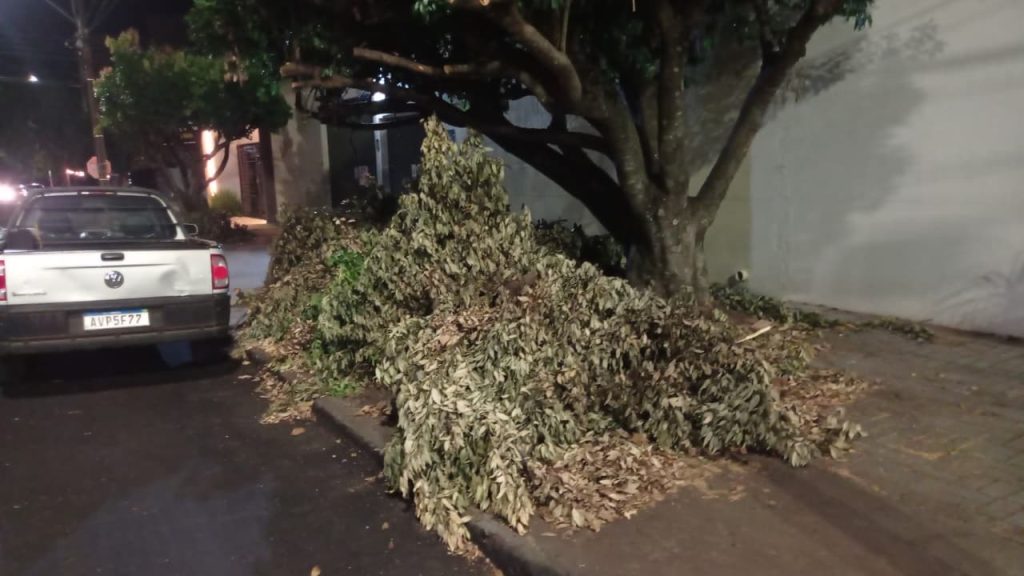 Galhos abandonados após poda da prefeitura bloqueiam calçada no Centro de Cascavel
