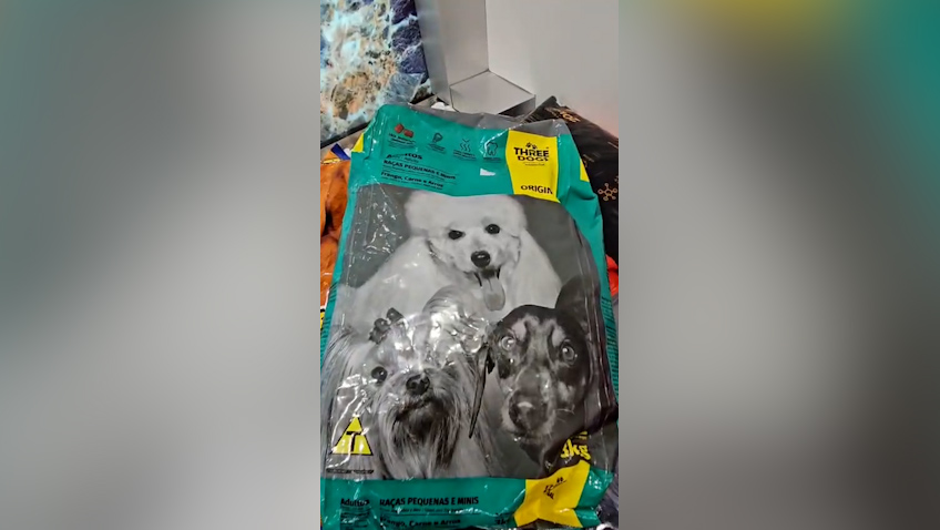 Cãominhada solidária arrecada 559 quilos de ração para apoio a ONGs e protetores independentes em Cascavel
