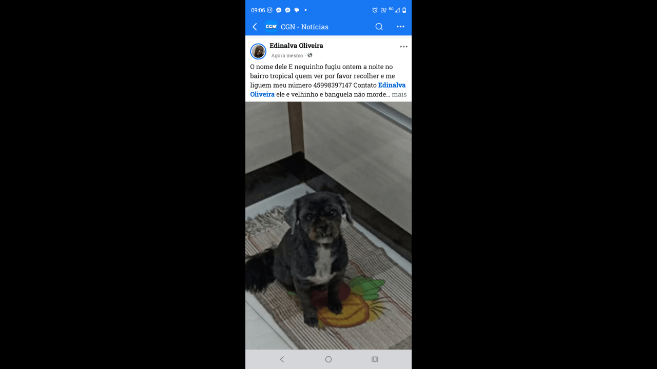Cachorro Neguinho desapareceu no bairro Tropical II