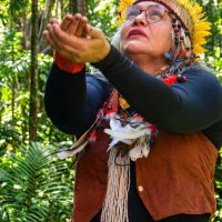 Imagem referente a Museu Histórico da Cidade celebra saberes indígenas no Rio de Janeiro 