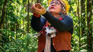 Museu Histórico da Cidade celebra saberes indígenas no Rio de Janeiro 