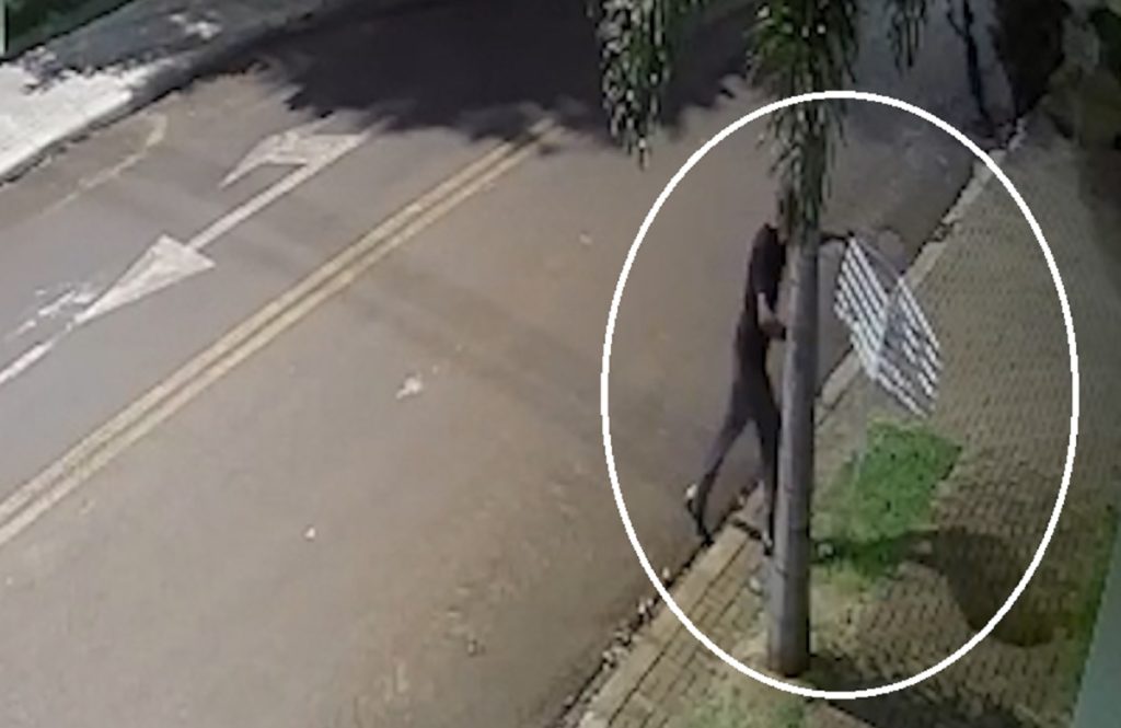 Câmera mostra cara de pau de ladrão para furtar e carregar cesta de lixo em frente à casa no Coqueiral