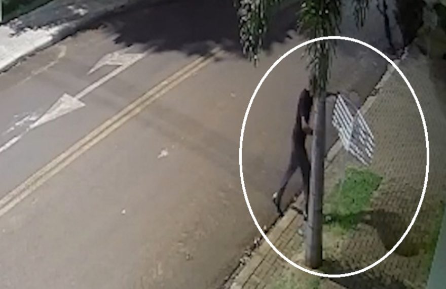 Câmera mostra cara de pau de ladrão para furtar e carregar cesta de lixo em frente à casa no Coqueiral