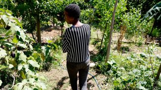 Horta comunitária reúne memória, cuidado e cidadania em favela do Rio