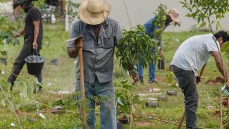 BB vai compensar emissões da COP15 no Brasil