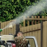 Imagem referente a Mato Grosso do Sul vai receber vacina em projeto contra chikungunya