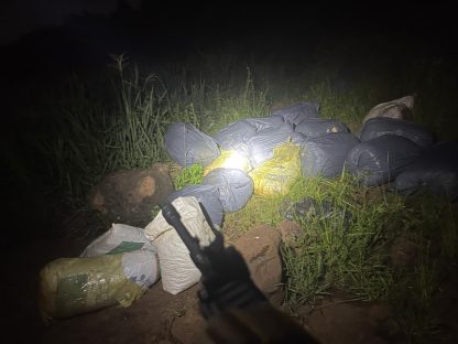 PF e PM apreendem quase 300 kg de maconha durante ação conjunta no Rio Paraná Imagem referente a PF e PM apreendem quase 300 kg de maconha durante ação conjunta no Rio Paraná