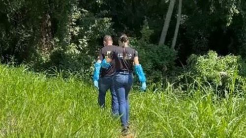 Homem é encontrado morto em estado de putrefação no meio de mata; Carro da vítima estava nas proximidades Imagem referente a Homem é encontrado morto em estado de putrefação no meio de mata; Carro da vítima estava nas proximidades