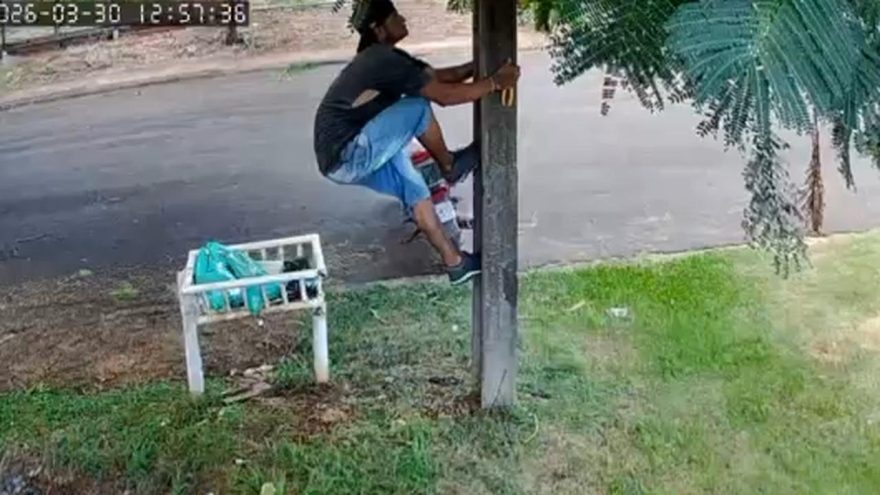 Homem escala poste e árvore para furtar fios no bairro Tropical