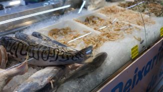 Vigilância Sanitária orienta sobre compra de pescado na Semana Santa