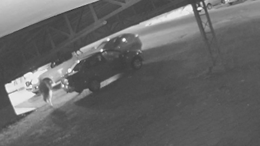 Homicídio de Emerson Ferreira Guimarães é flagrado por câmeras em posto de combustíveis