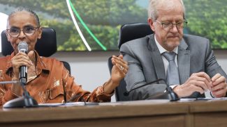 Criação de autoridade climática é prioridade de Lula, diz Marina Silva