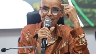 Em balanço, Marina destaca queda do desmatamento e maior fiscalização