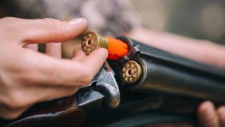 MPPR denuncia por homicídio triplamente qualificado mulher que matou o marido com um tiro de espingarda após discussão por motivo fútil em Cafelândia