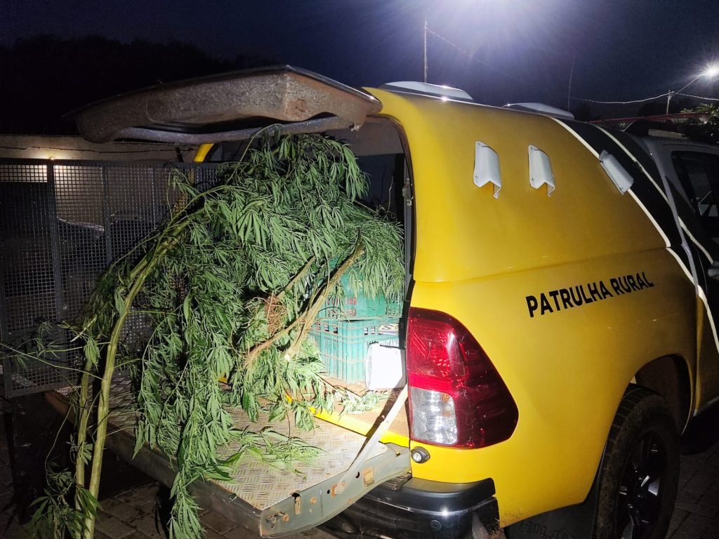 Homem é preso por tráfico de drogas na zona rural de Cascavel