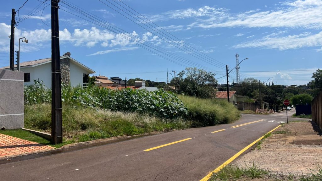 Moradores denunciam mato alto em terreno no Bairro Maria Luiza