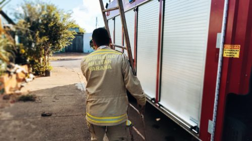 Bombeiros são acionados para captura de cobra no Bairro Cataratas Imagem referente a Bombeiros são acionados para captura de cobra no Bairro Cataratas