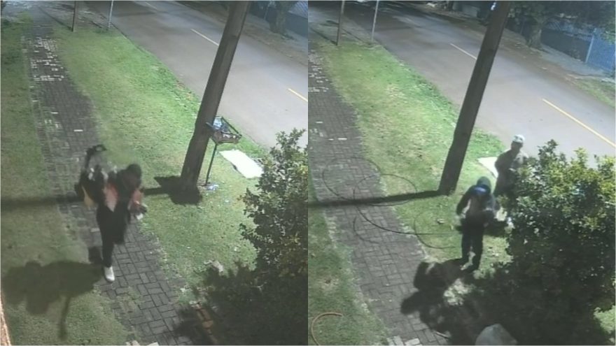 Câmera de segurança flagra ações de criminosos diferentes em dois furtos no bairro Universitário