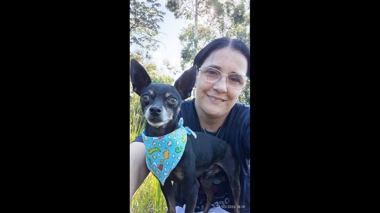 Cachorro Pipoca desapareceu no bairro Guarujá Cachorro Pipoca desapareceu no bairro Guarujá