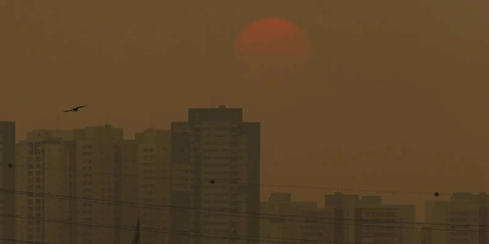Sensor do ar de baixo custo será lançado no Acampamento Terra Livre Imagem referente a Sensor do ar de baixo custo será lançado no Acampamento Terra Livre