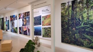 Unidades de conservação do Brasil participam de exposição na Alemanha