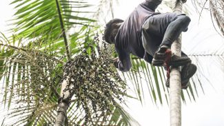 Governo investe R$ 132 milhões em regularização fundiária na Amazônia