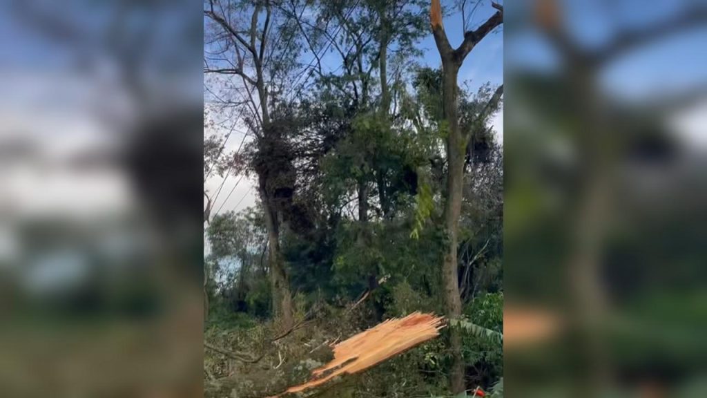 Tornado? Temporal provoca estragos em Marechal