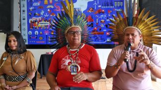 Indígenas esperam encontro com Lula e celeridade em demarcações