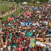 Imagem referente a Indígenas de todo o Brasil ocupam a Esplanada dos Ministérios