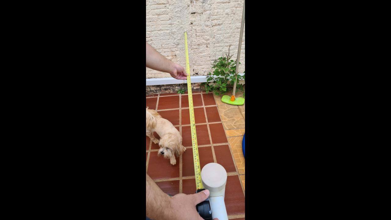 Cachorro Toffu desapareceu no bairro Country