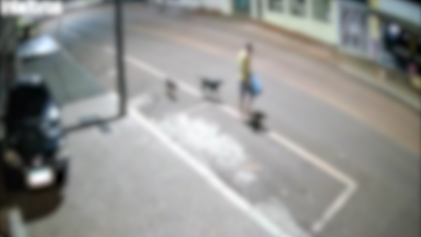 Furto de casinha de cachorro deixa morador do bairro Floresta indignado