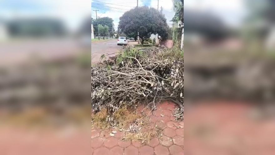 Morador reclama de galhos deixados na calçada após poda realizada pela Copel