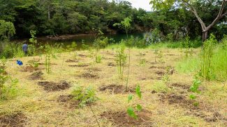 Parque não inclui área destinada a salvar BRB, diz associação