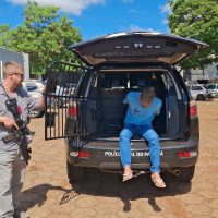 Suspeito de homicídio de Kayna Felipe Alves Pereira é preso no Conjunto Riviera Imagem referente a Suspeito de homicídio de Kayna Felipe Alves Pereira é preso no Conjunto Riviera