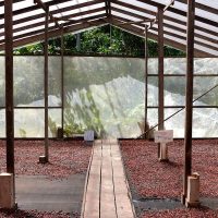 Imagem referente a Edital seleciona projetos de inovação no Amazonas, Pará e Rondônia