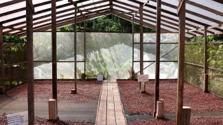 Edital seleciona projetos de inovação no Amazonas, Pará e Rondônia