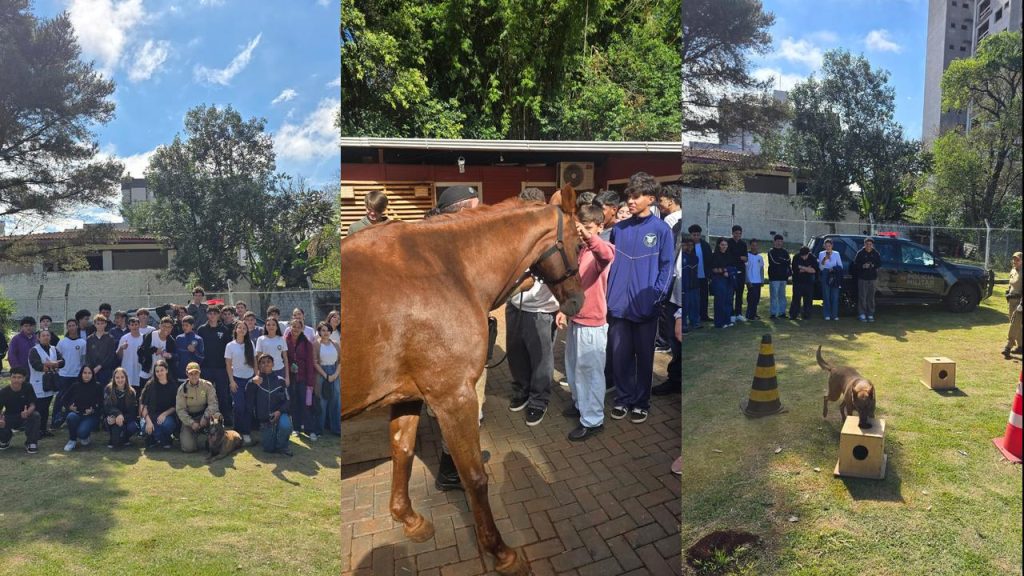 Despertando Vocações: Estudantes conhecem estrutura e rotina da Polícia Militar em Cascavel