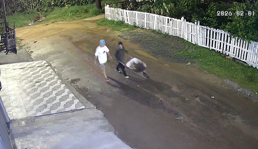 Último suspeito de homicídio no CIC é preso pela Polícia Civil em Curitiba