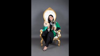 Cachorro Theo desapareceu no bairro Coqueiral Imagem referente a Cachorro Theo desapareceu no bairro Coqueiral