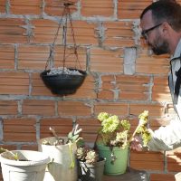 Saúde faz ação para conter proliferação do mosquito Aedes aegypti Imagem referente a Saúde faz ação para conter proliferação do mosquito Aedes aegypti