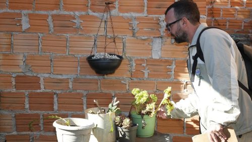 Saúde faz ação para conter proliferação do mosquito Aedes aegypti Imagem referente a Saúde faz ação para conter proliferação do mosquito Aedes aegypti